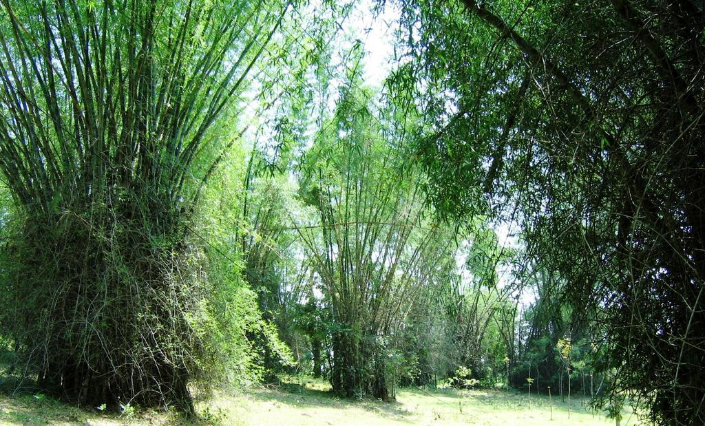 Marg Stream Valley ไวทีรี ภายนอก รูปภาพ