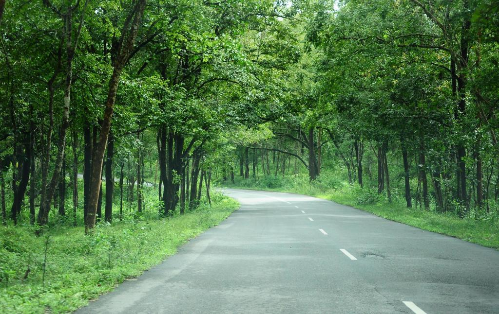 Marg Stream Valley ไวทีรี ภายนอก รูปภาพ