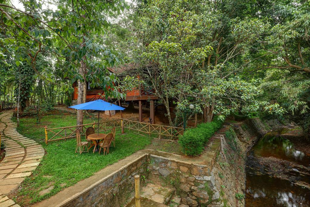 Marg Stream Valley ไวทีรี ภายนอก รูปภาพ