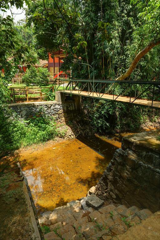 Marg Stream Valley ไวทีรี ภายนอก รูปภาพ