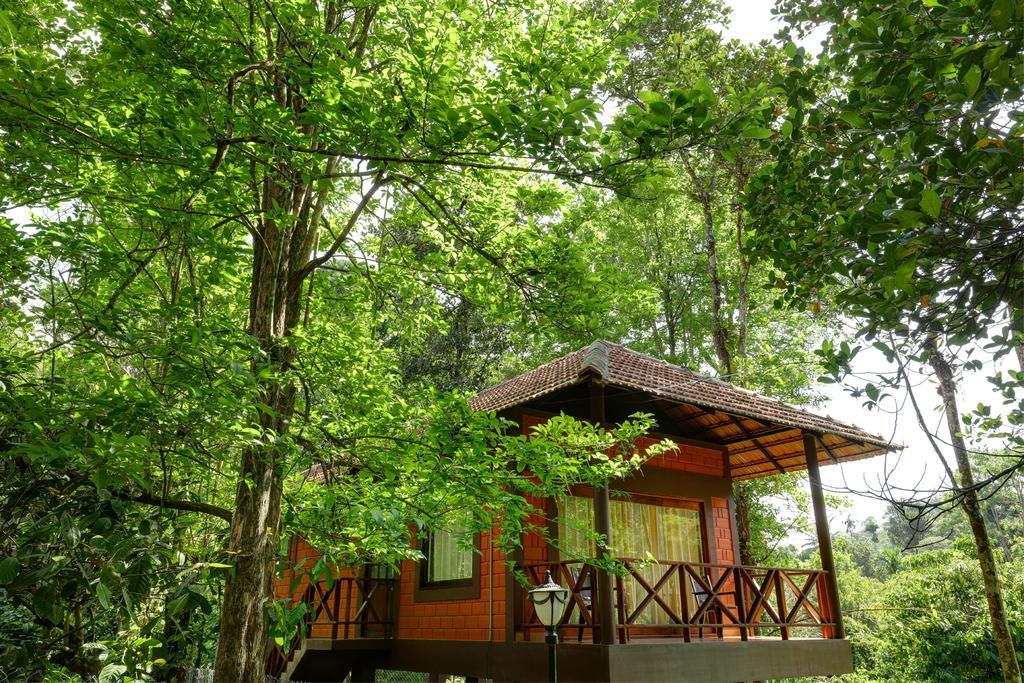 Marg Stream Valley ไวทีรี ภายนอก รูปภาพ