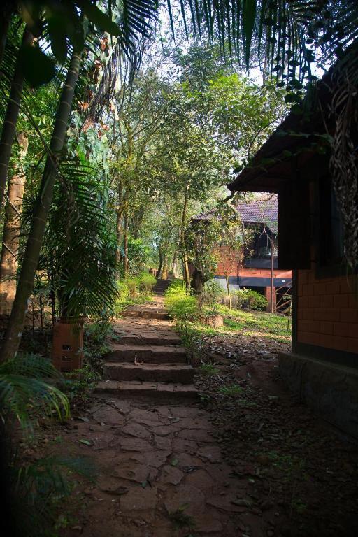 Marg Stream Valley ไวทีรี ภายนอก รูปภาพ