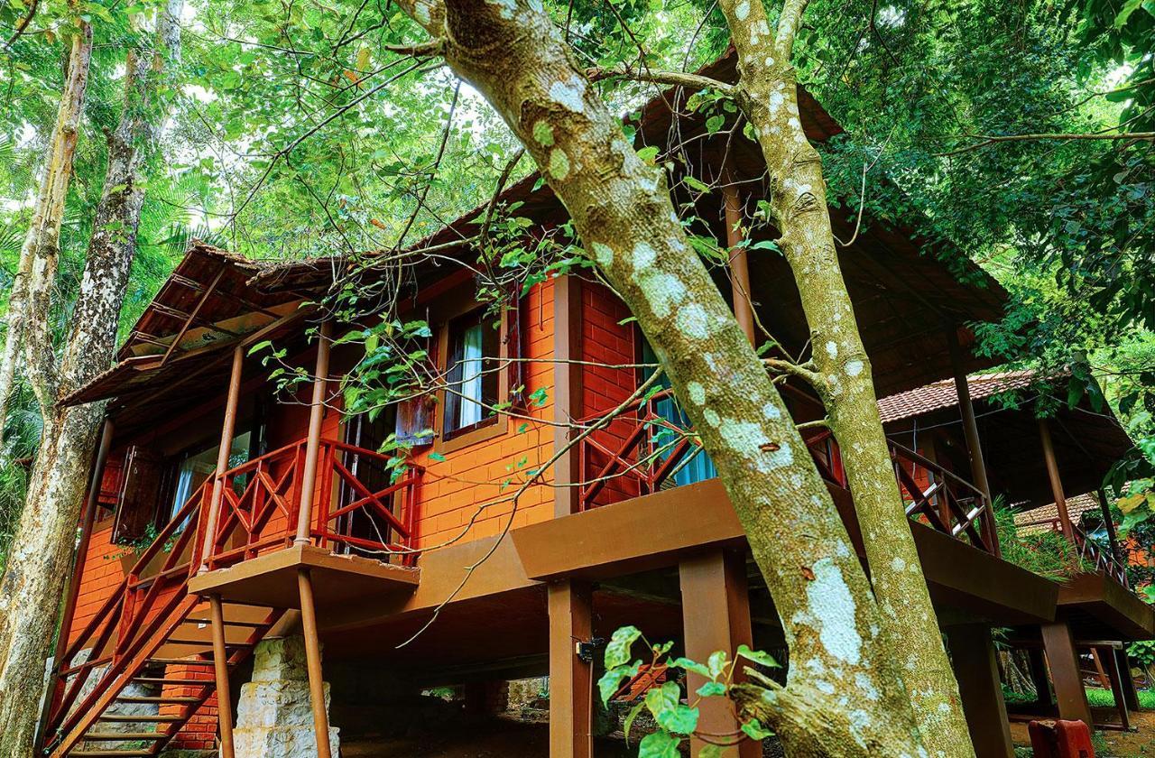 Marg Stream Valley ไวทีรี ภายนอก รูปภาพ