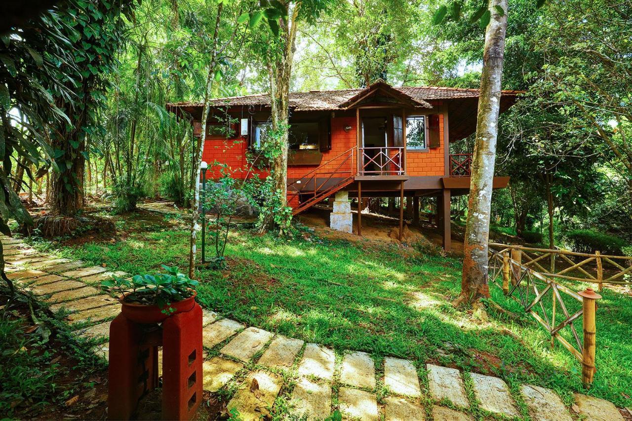 Marg Stream Valley ไวทีรี ภายนอก รูปภาพ
